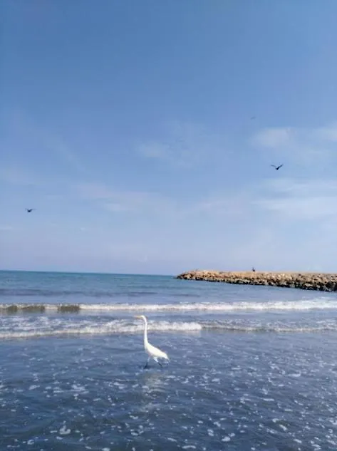 Cartagena Mas Comoda Y Economica Appartamento